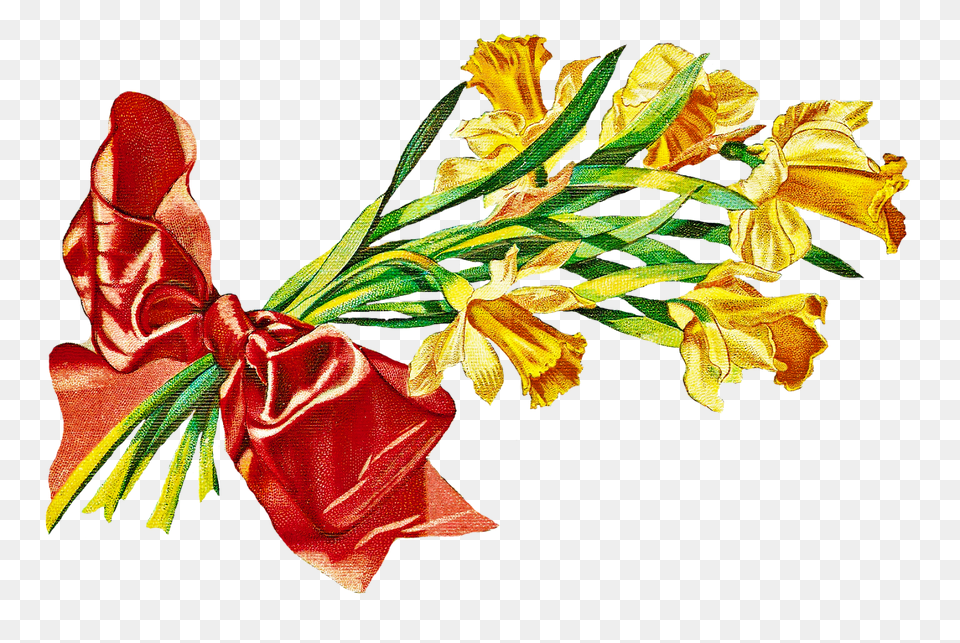 An Alameda Garden March, Flower, Flower Arrangement, Flower Bouquet, Plant Png