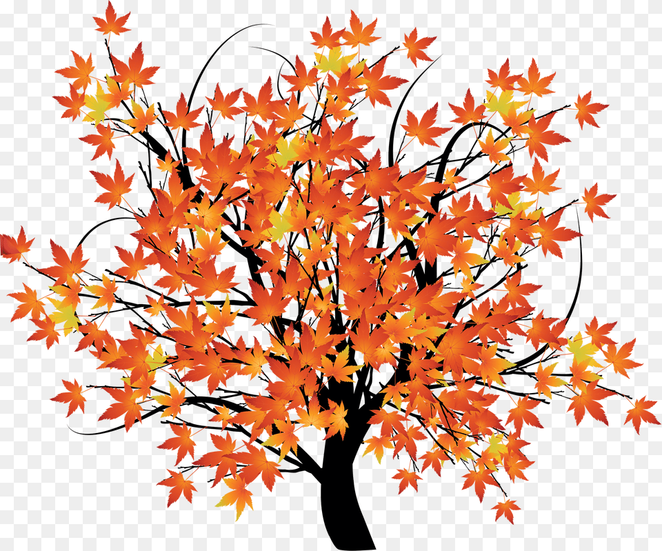 An Autumn Background Scene With Trees Fall Tree Transparent Background, Leaf, Maple, Plant Free Png