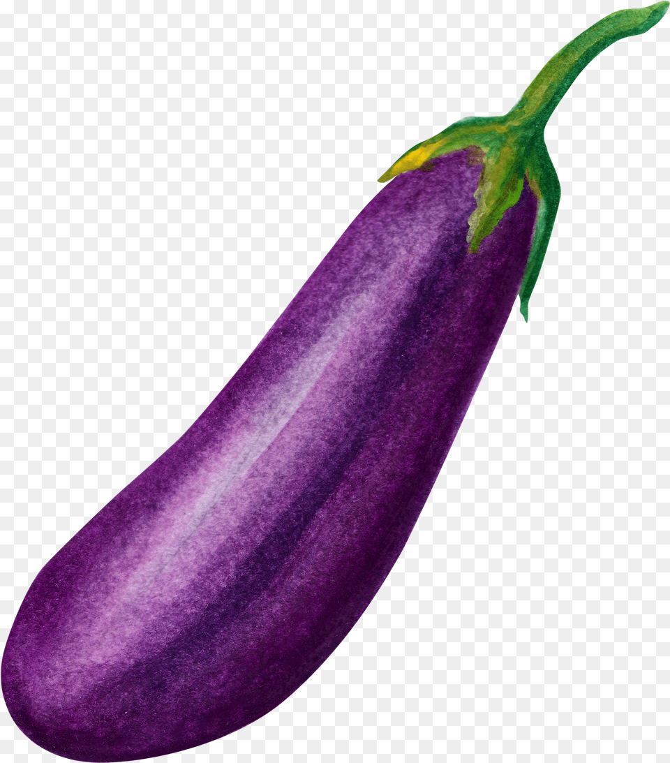 An Eggplant Download Brinjal Png Image
