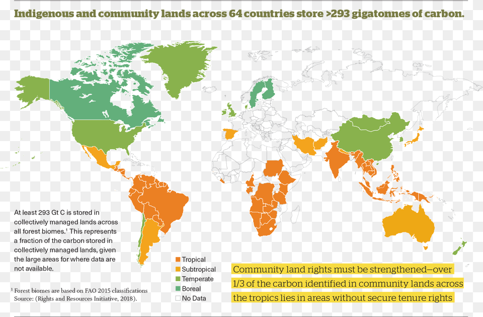 An Enormous Volume Of Carbon Is Protected In The Forests Rise Of The Planet Of The Apes Map, Chart, Plot, Atlas, Diagram Free Png