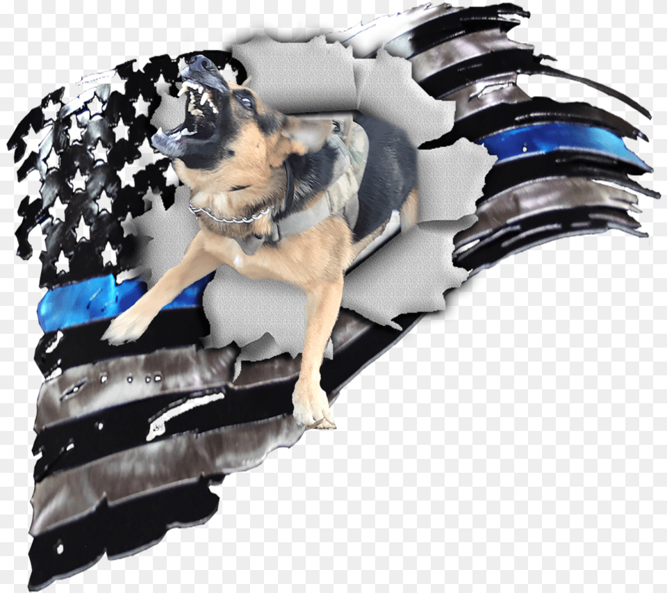 An Error Occurred, Animal, Canine, Dog, Mammal Png Image