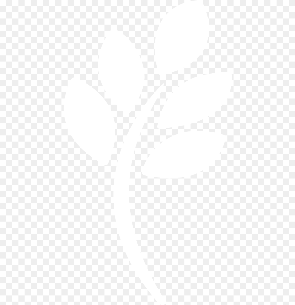 An Error Occurred, Stencil, Pattern, Graphics, Floral Design Free Transparent Png