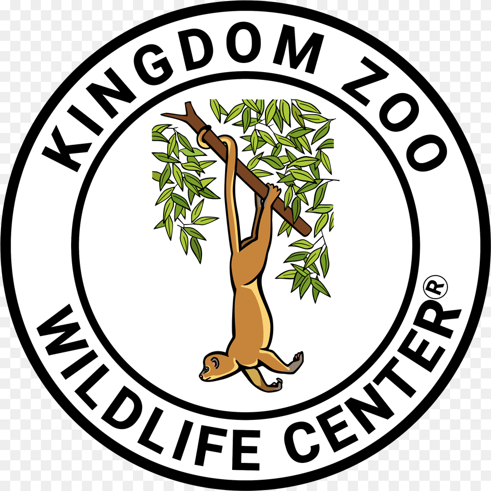 An Error Occurred Kingdom Zoo, Plant, Vegetation, Baby, Person Free Png