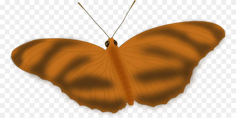 An Ethereal Butterfly Vector Butterfly, Animal, Insect, Invertebrate, Moth Png Image
