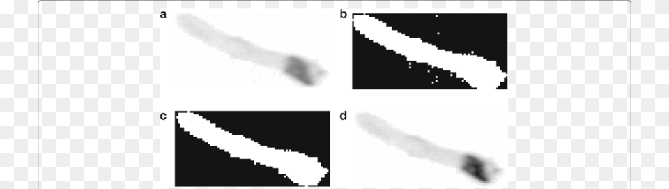 An Example Of Pre Processing A Original Captured Plankton Free Png