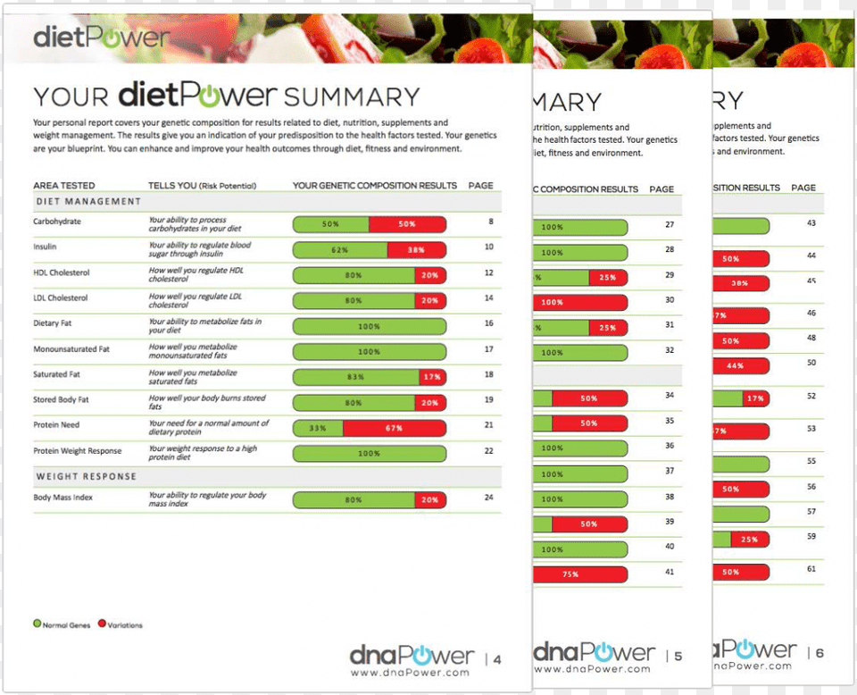 An Example Report From Dnapower, Page, Text, Menu Free Png