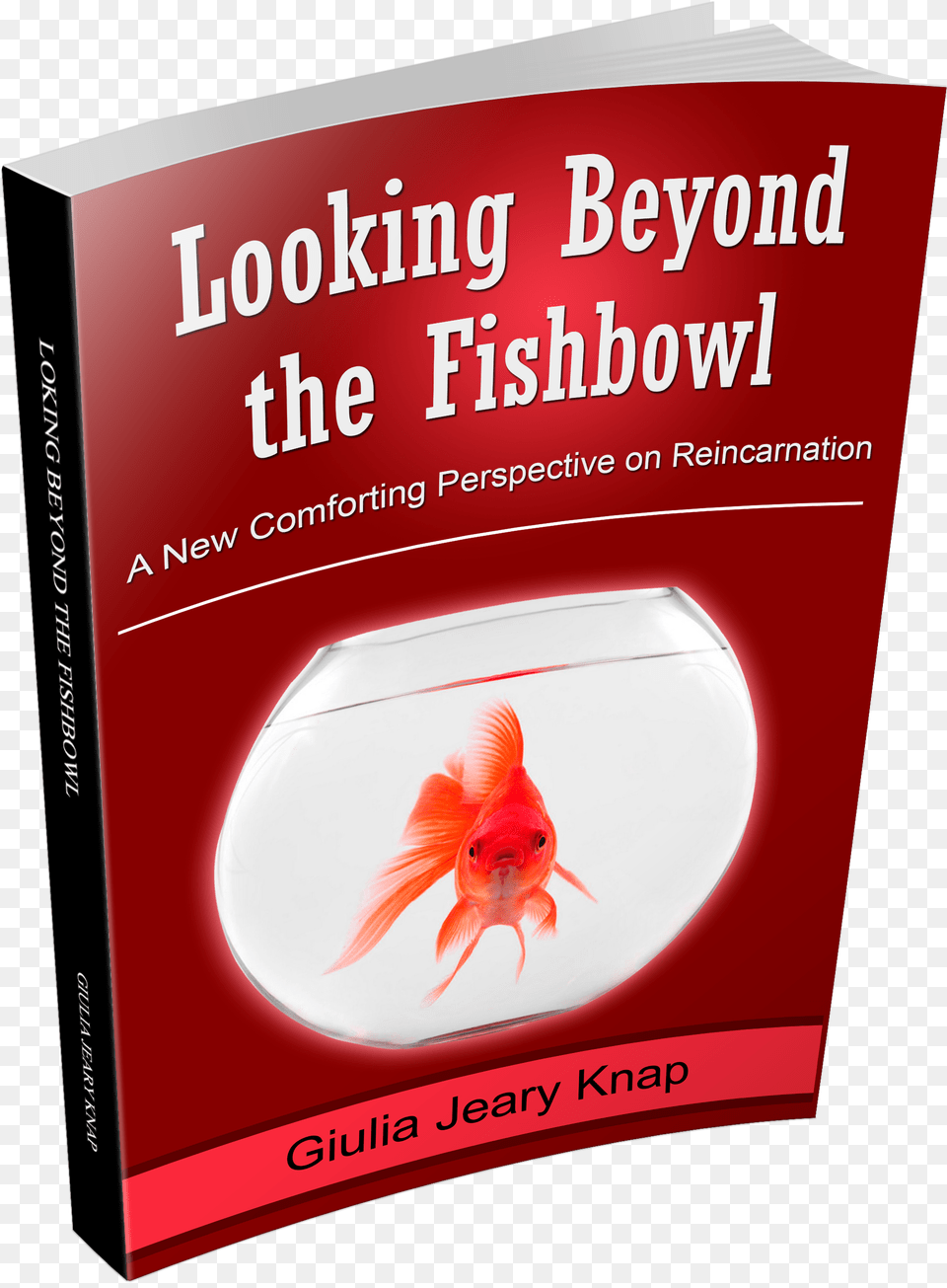 An Extract From Looking Beyond The Fishbowl Giulia Jeary Knap, Animal, Fish, Sea Life Png Image