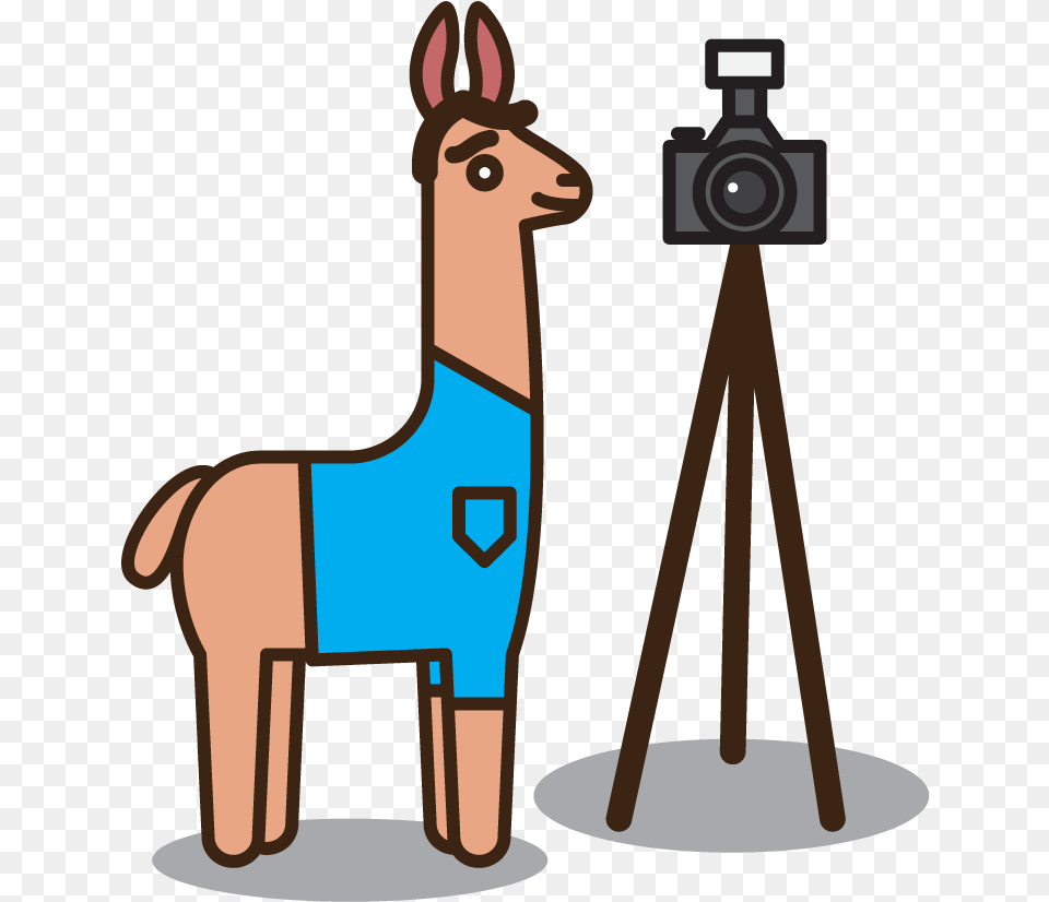 An Illustrated Cartoon Llama With A Camera On A Tripod Cartoon, Photography, Animal, Kangaroo, Mammal Png