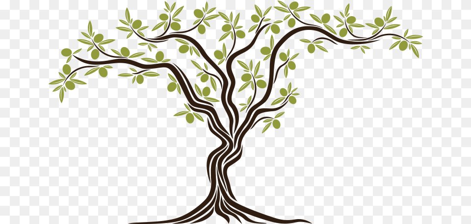 An Olive Tree Sprouted Simbol Of Peace Olive Tree Clipart, Plant, Art, Pattern, Potted Plant Free Png