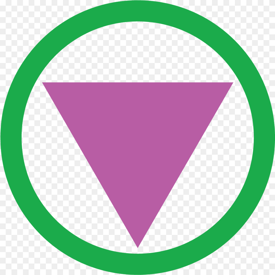An Open Letter To Rita Cheng Camera Icon, Triangle, Disk Png