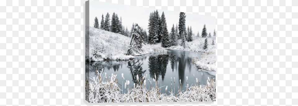 An Open Pond In The Winter With Snow Covered Hilly Posterazzi An Open Pond In The Winter With, Fir, Tree, Nature, Outdoors Png Image