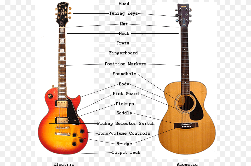 An Overview Of Guitar Parts Electric Acoustic Guitar Guitar Anatomy, Musical Instrument, Bass Guitar Free Png