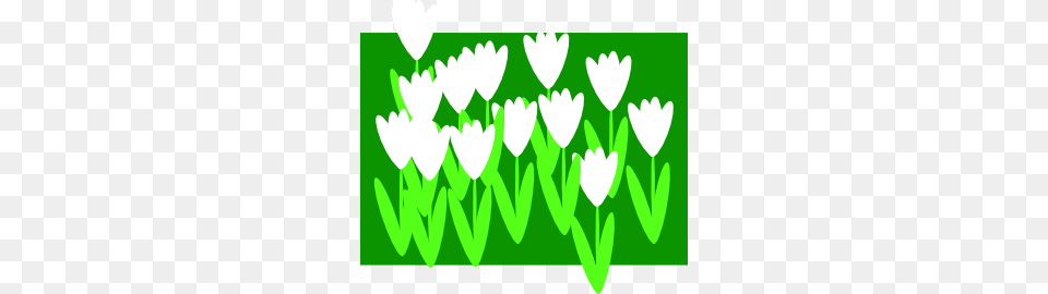 An Tearrach, Green, Flower, Plant, Art Png Image