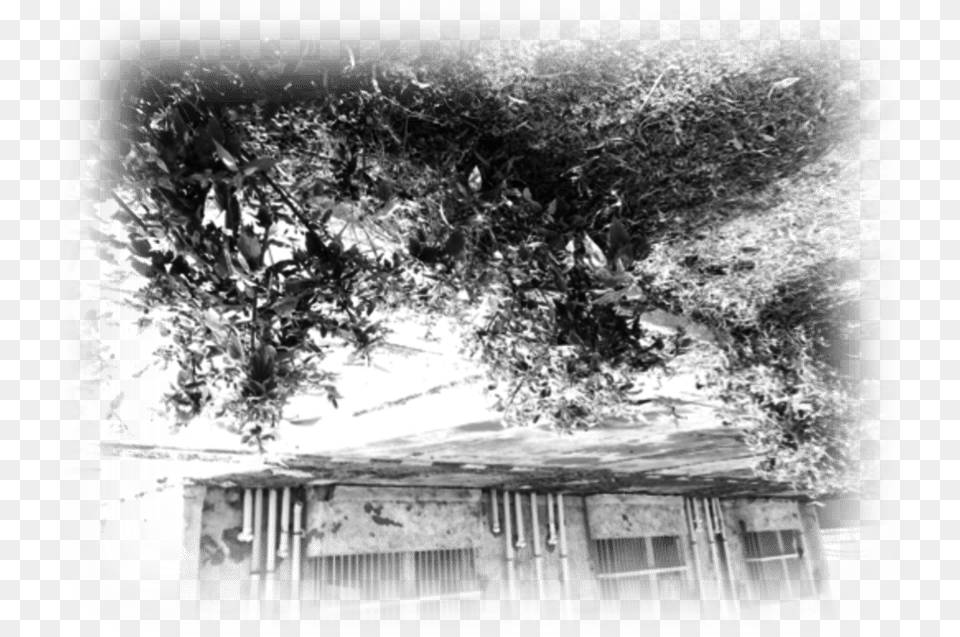 An Upside Down World Monochrome, Architecture, Rural, Porch, Outdoors Free Png Download