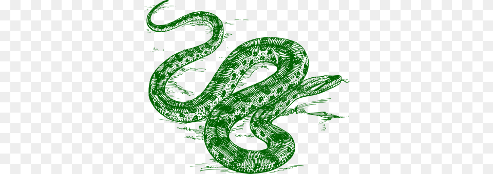 Anaconda Person, Nature, Outdoors, Sea Png Image