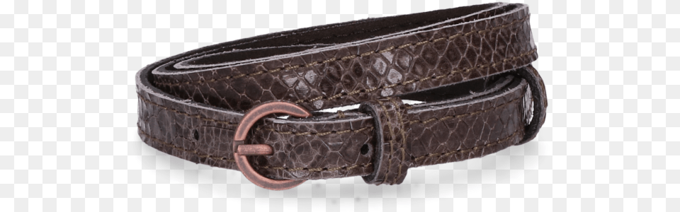 Anaconda Belt, Accessories, Buckle Free Png