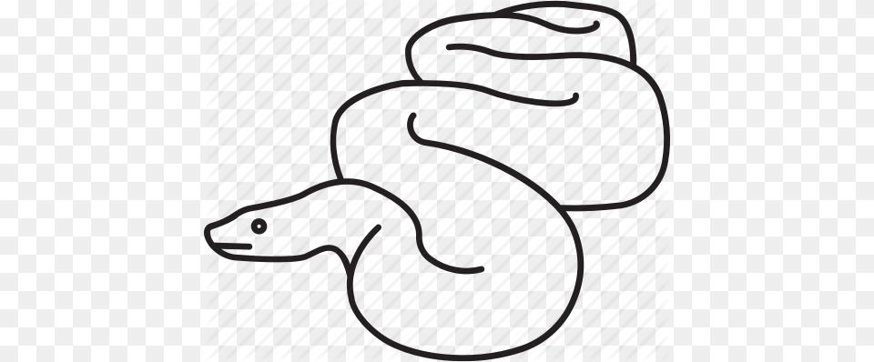 Anaconda Boa Constrictor Giant Python Serpent Snake Icon, Gate, Rope, Pattern, Home Decor Free Transparent Png