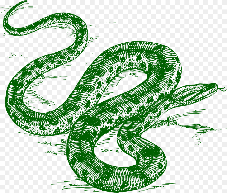 Anaconda Clipart, Animal, Reptile, Snake Free Png Download