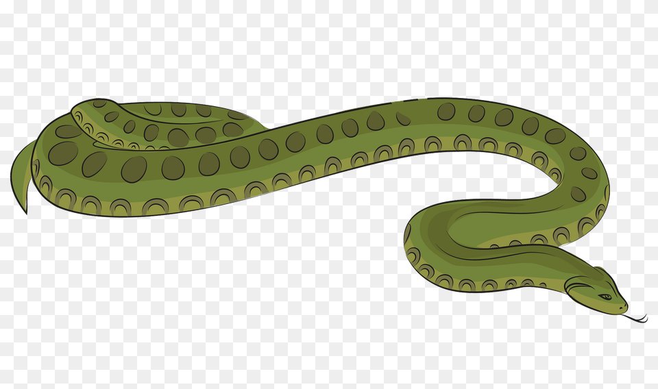 Anaconda Clipart, Animal, Reptile, Snake, Fish Free Png Download