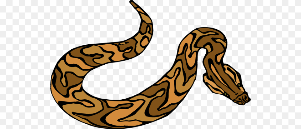 Anaconda Clipart Brown Snake Snake Clipart, Animal, Reptile, Rock Python, Person Free Transparent Png