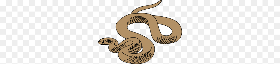 Anaconda Clipart Small Snake, Animal, Reptile, Device, Grass Free Png