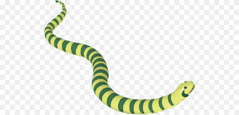 Anaconda Clipart Tail Green Anaconda, Animal, Reptile, Snake Free Transparent Png