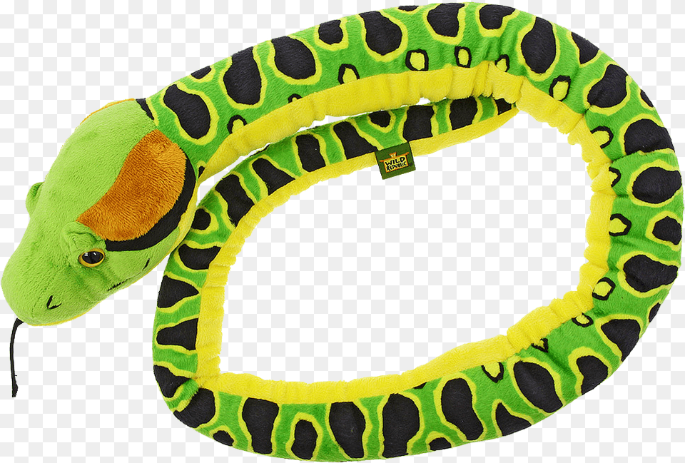 Anaconda Download Snake, Animal, Gecko, Lizard, Reptile Png Image