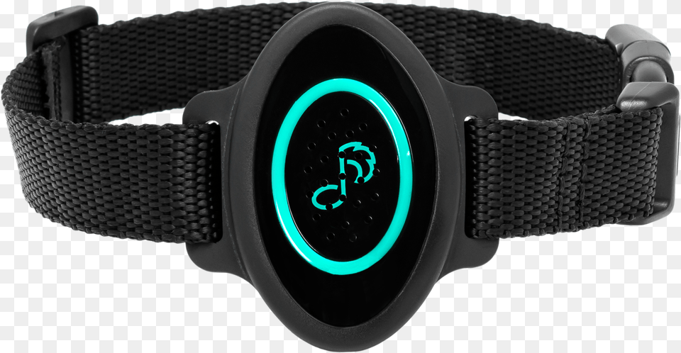 Analog Watch, Wristwatch, Arm, Body Part, Person Free Transparent Png