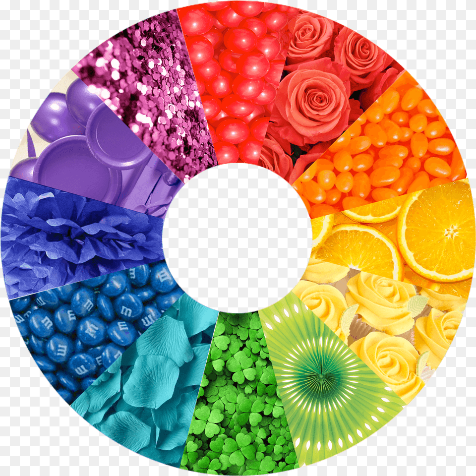 Analogous Color Scheme Painting, Disk, Citrus Fruit, Plant, Orange Free Transparent Png