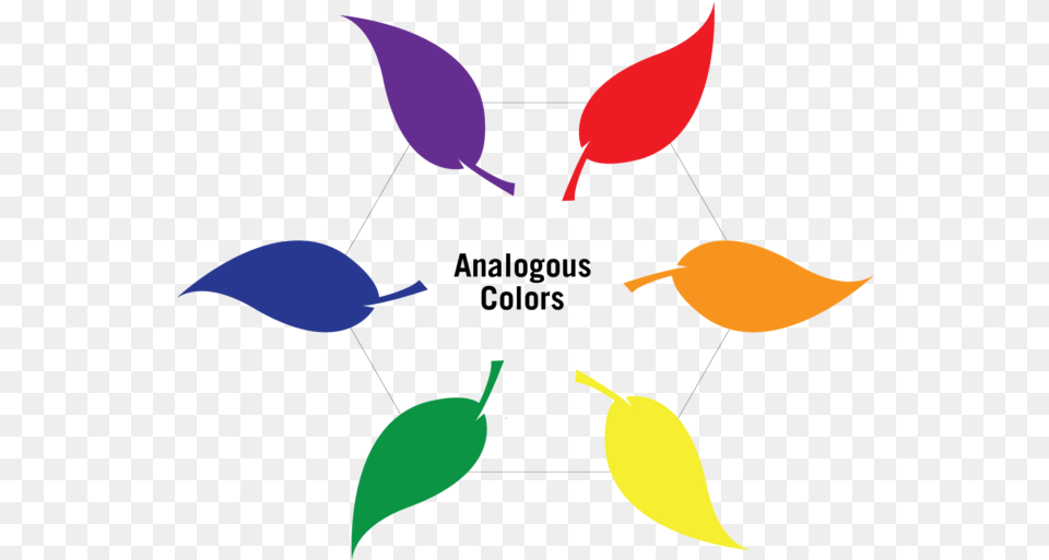 Analogous Color Wheel, Art, Graphics, Modern Art, Plant Free Png Download