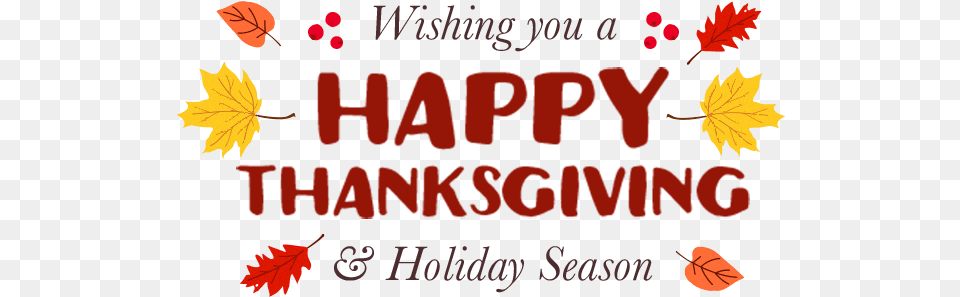 Analytics And Data Summit 2019 Offer Wishing You A Happy Thanksgiving And Holiday Season, Leaf, Plant, Tree, Maple Png Image