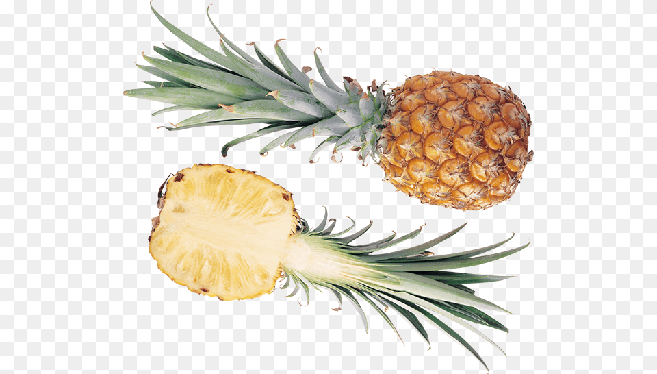 Ananas Resmi Pineapple, Food, Fruit, Plant, Produce Png Image