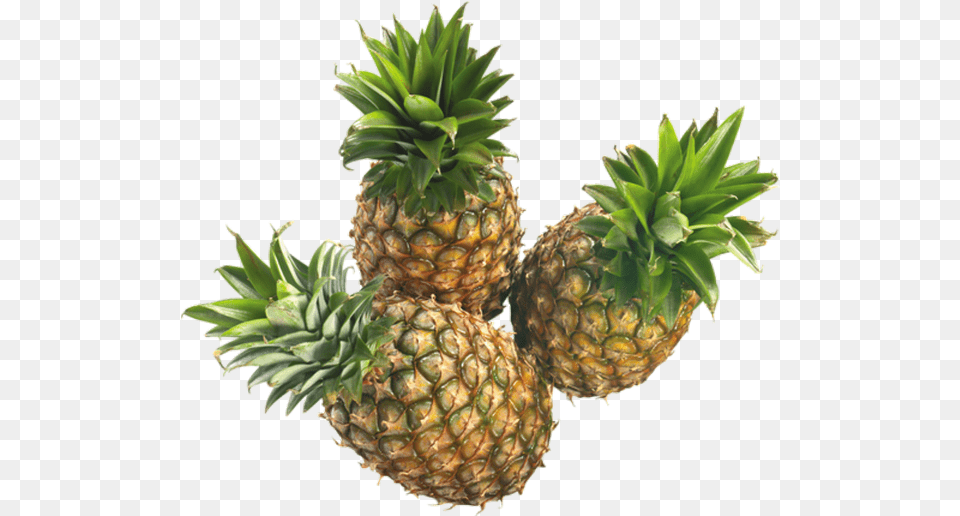 Ananas Tube Pineapple Exotic Fruit, Food, Plant, Produce Free Png