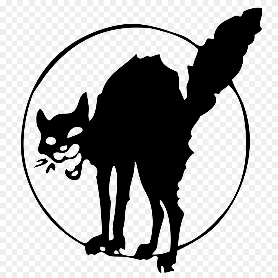 Anarchist Black Cat, Gray Free Png Download
