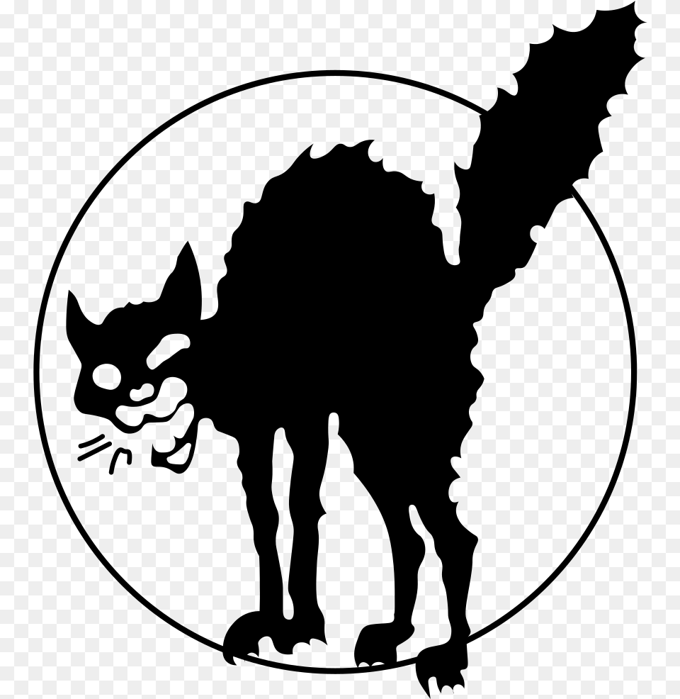 Anarchist Black Cat Black Cat Symbol, Gray Free Transparent Png