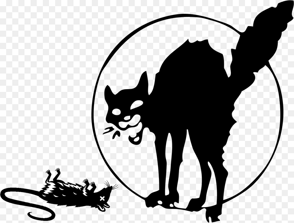 Anarchist Black Cat Tattoo, Gray Png