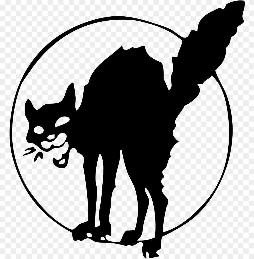 Anarchist Black Cat Tattoo, Gray Png