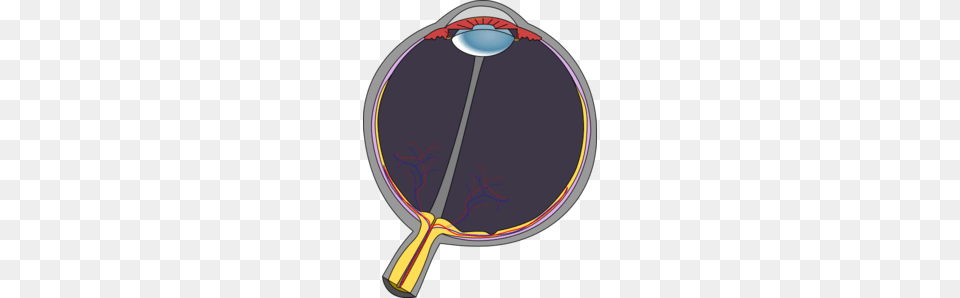 Anatomia Clip Art, Racket, Disk Png Image