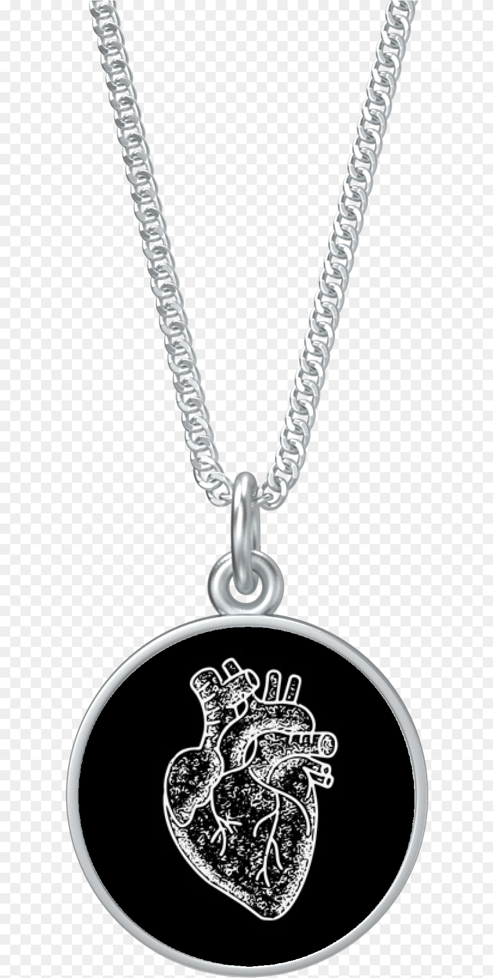 Anatomical Heart Coin Pendant On Chain Silver, Accessories, Jewelry, Necklace, Diamond Png