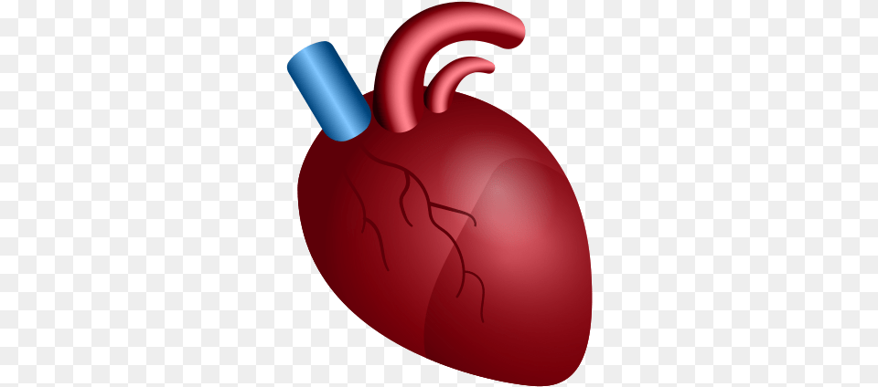 Anatomical Heart Icon Anatomy Heart Big Icon, Ammunition, Weapon, Bomb, Electronics Free Transparent Png