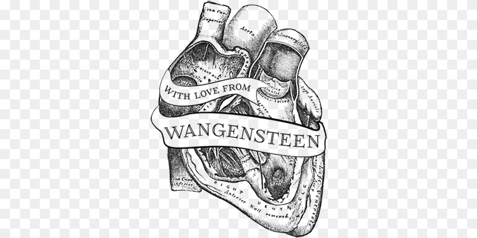 Anatomical Heart Tattoo Antique Medical Illustration, Clothing, Glove, Accessories, Bag Free Transparent Png
