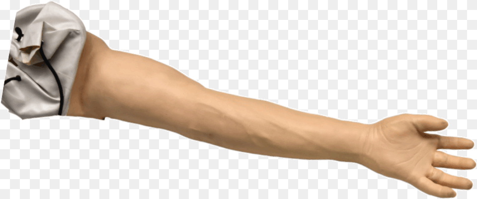 Anatomiturk Rnler Heel, Arm, Body Part, Hand, Person Free Png