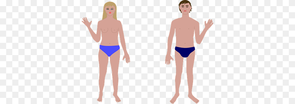 Anatomy Clothing, Swimwear, Adult, Female Free Transparent Png