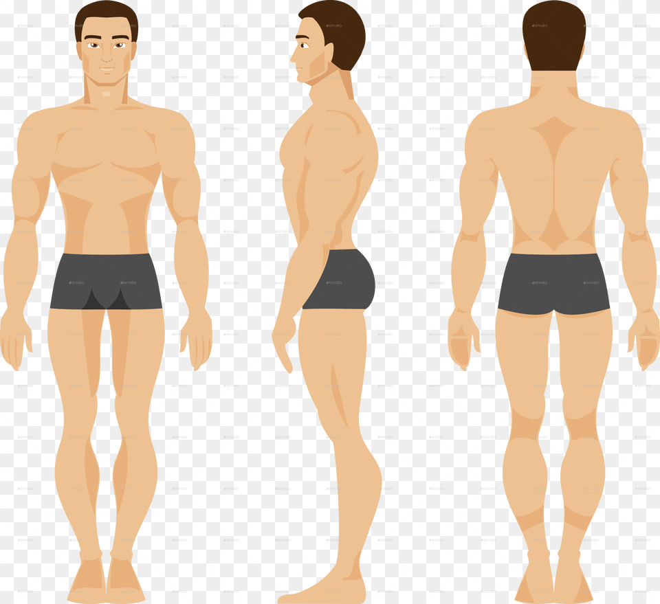 Anatomy, Back, Body Part, Person, Adult Free Png Download