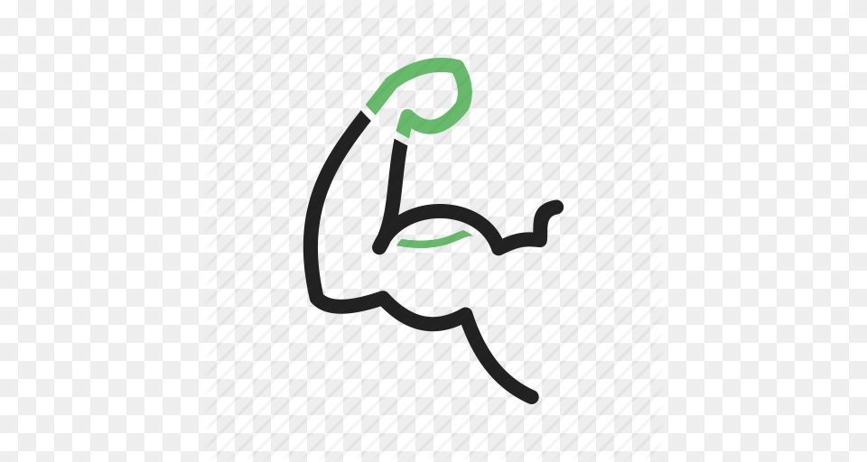 Anatomy Arm Bic Body Fitness Flexing Muscle Icon, Knot Free Png