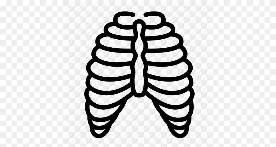 Anatomy Body Cage Human Organ Rib Skeleton Icon, Weapon Free Png