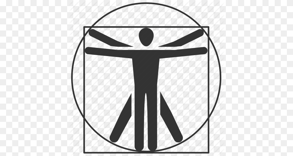 Anatomy Body Human Human Body Human Scale Organ Person Icon, Cross, Symbol Png Image