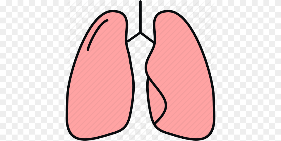 Anatomy Bodypart Lung Lungs Medical Medicine Organ Icon, Clothing, Flip-flop, Footwear, Ping Pong Free Png