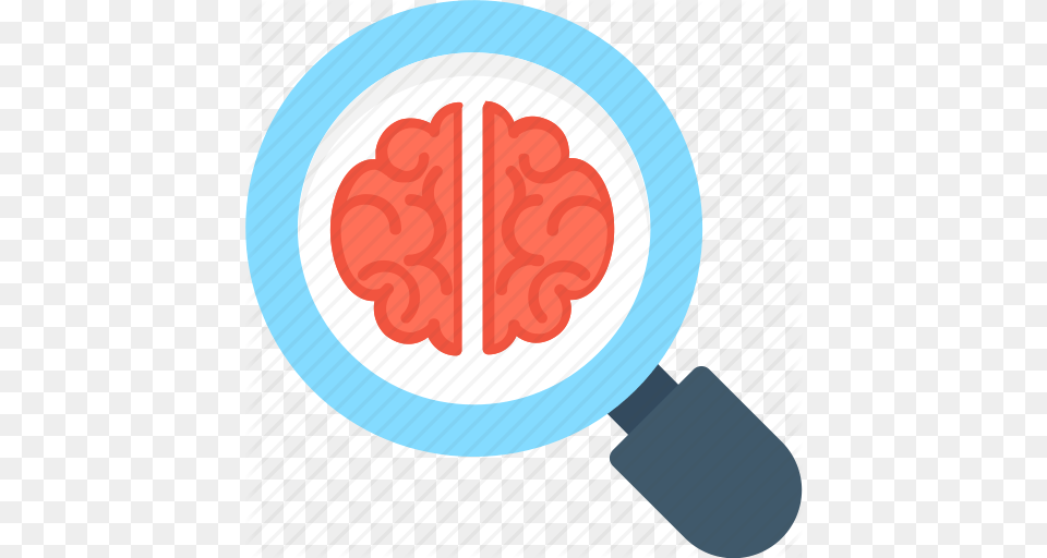 Anatomy Brain Magnifier Neurology Search Bran Free Transparent Png