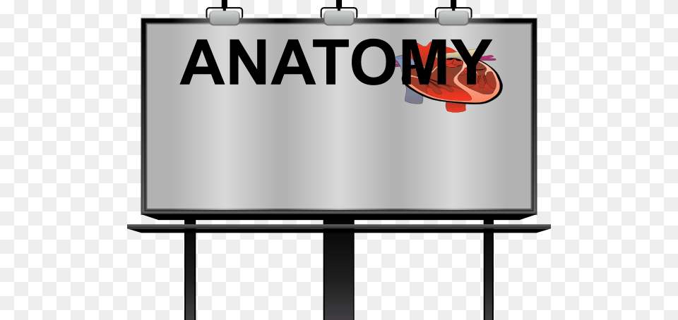 Anatomy Clip Art, Advertisement, Billboard, Blackboard Free Png